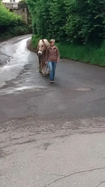 Meine Nichte mit ihrem Haflinger Aristo