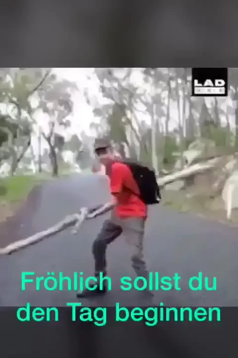 Fröhlich sollst du sein