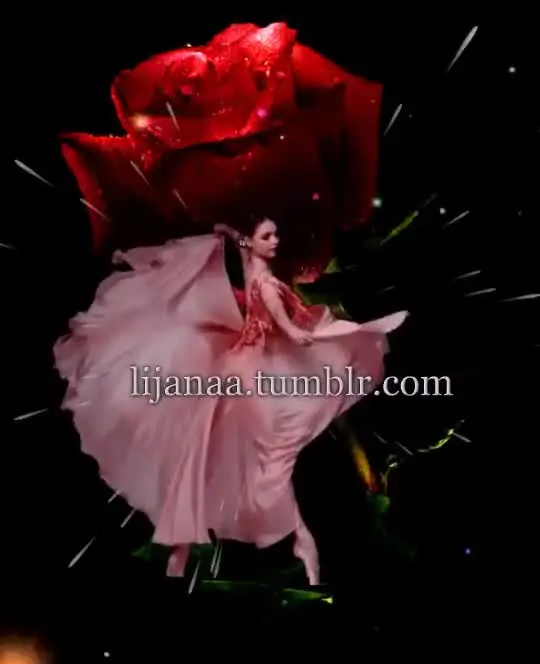 my creation mp4...